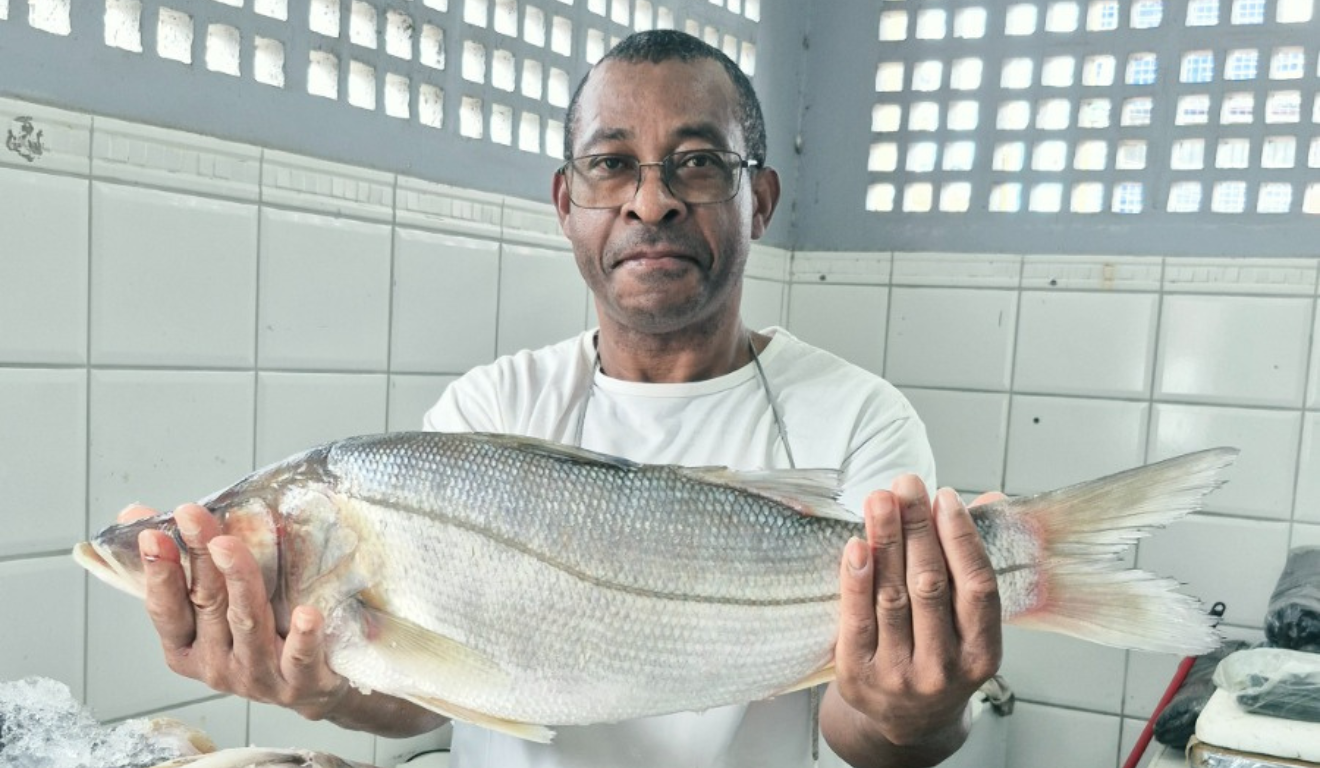 23ª Semana do Pescado no ES traz descontos de 30% e chega às feiras livres